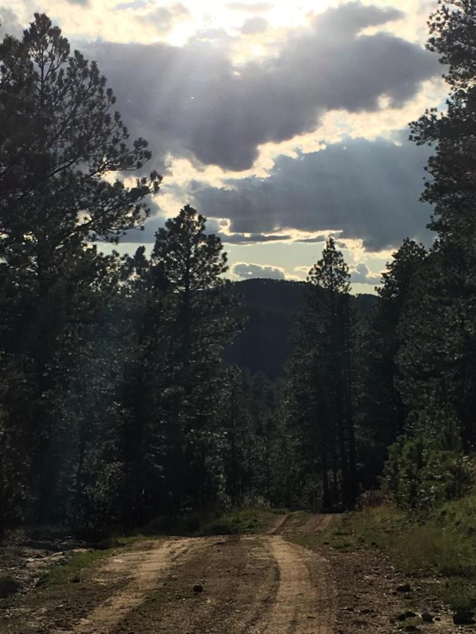 Priceless Black Hills View Rapid City Bagian luar foto