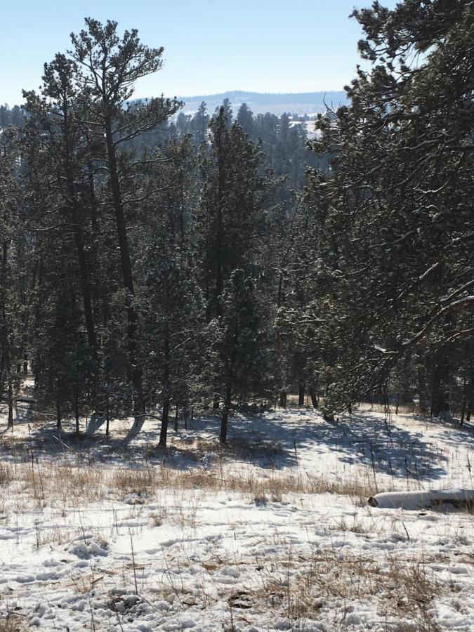 Priceless Black Hills View Rapid City Bagian luar foto